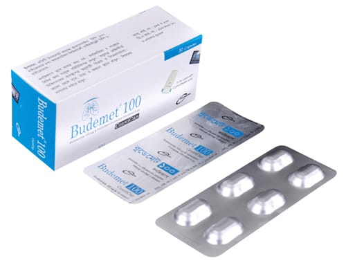 Budemet 100